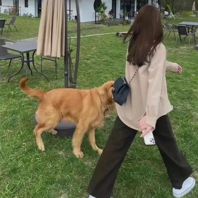 诚聘保姆